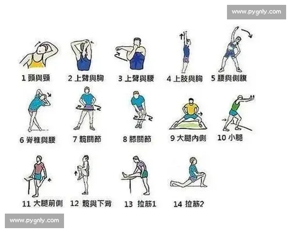 科学热身活动全解析 提升运动表现与防伤指南